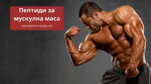 пептиди за мускулна маса