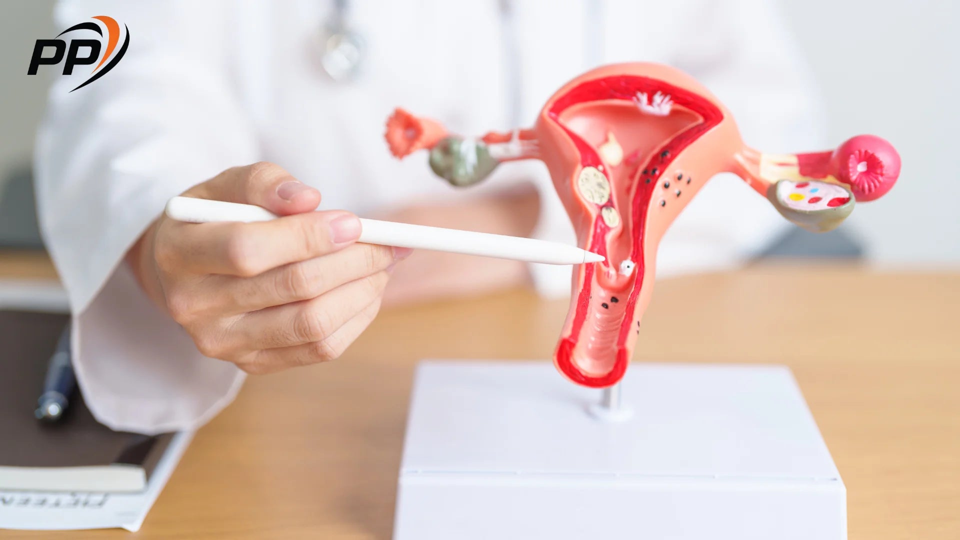 Роль релаксиновых пептидов в человеческом теле