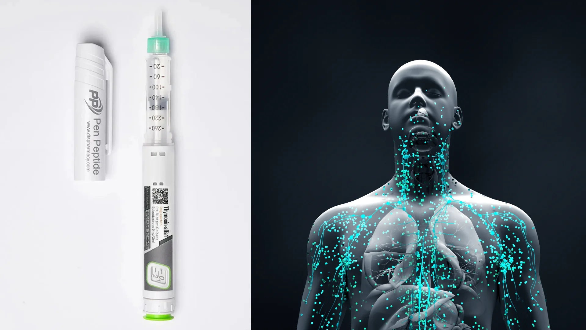 Польза пептидов для иммунного здоровья