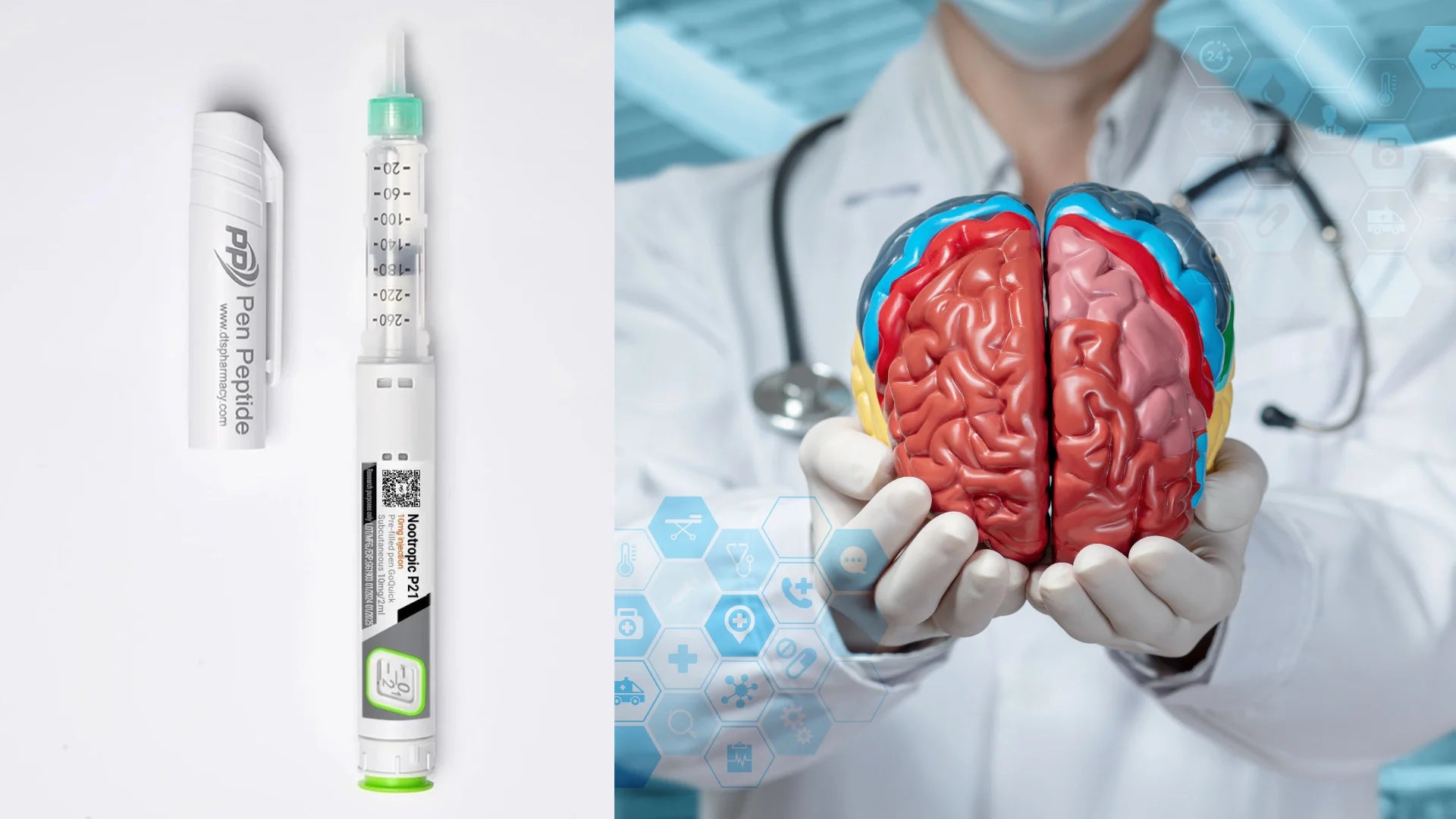 P21 Механизъм на действие - Pen Peptide