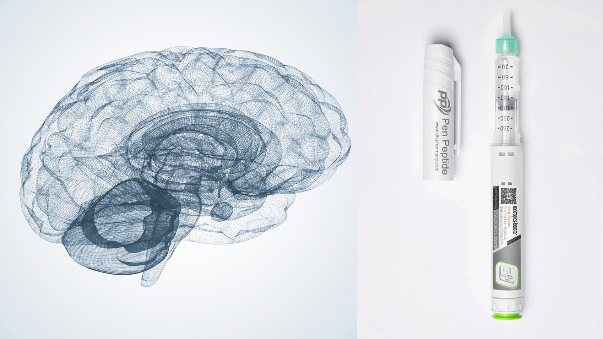 Пептиди в неврологията - Pen Peptide