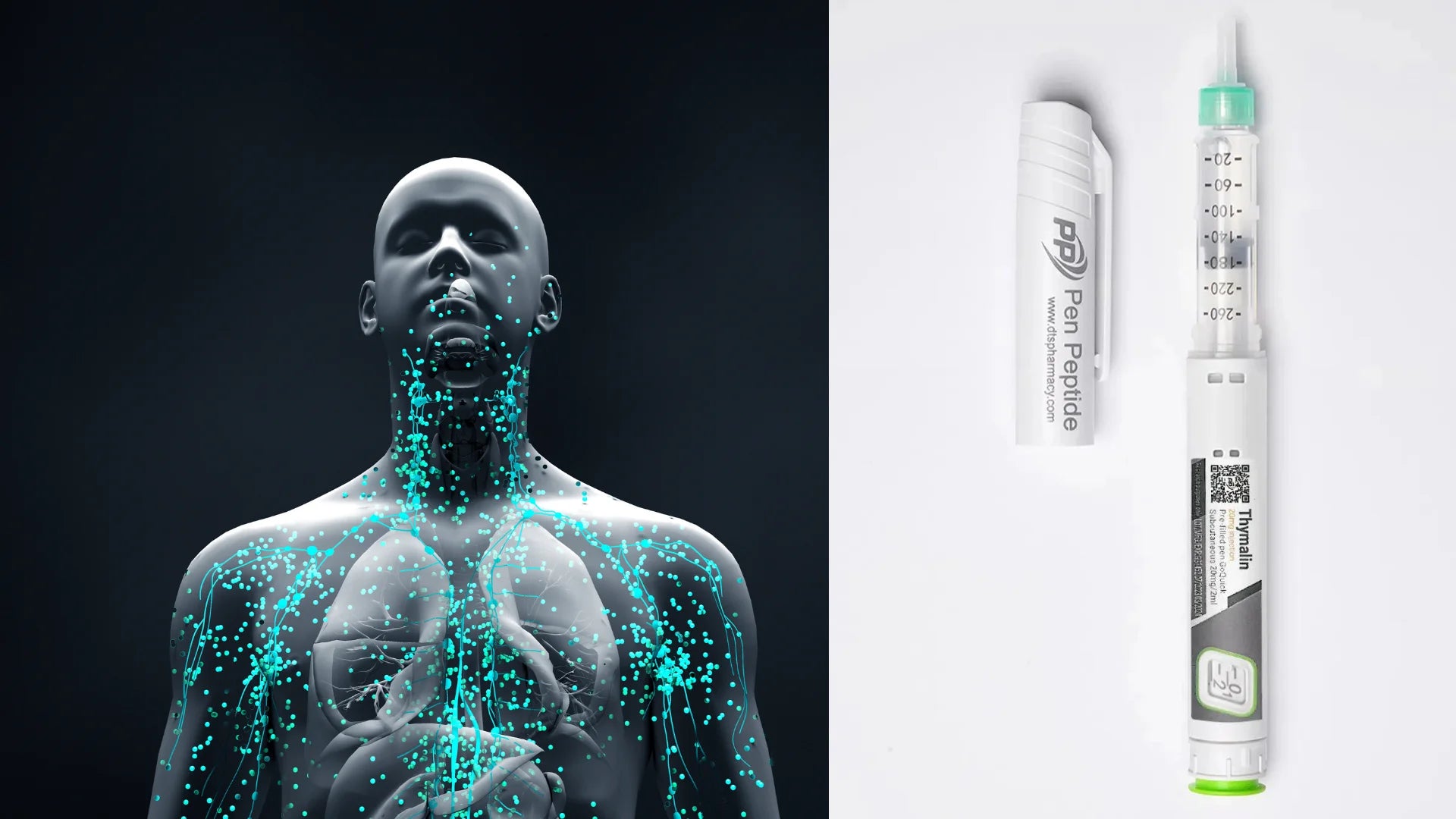 Каква е ролята на пептидите в лечението на различни заболявания - Pen Peptide