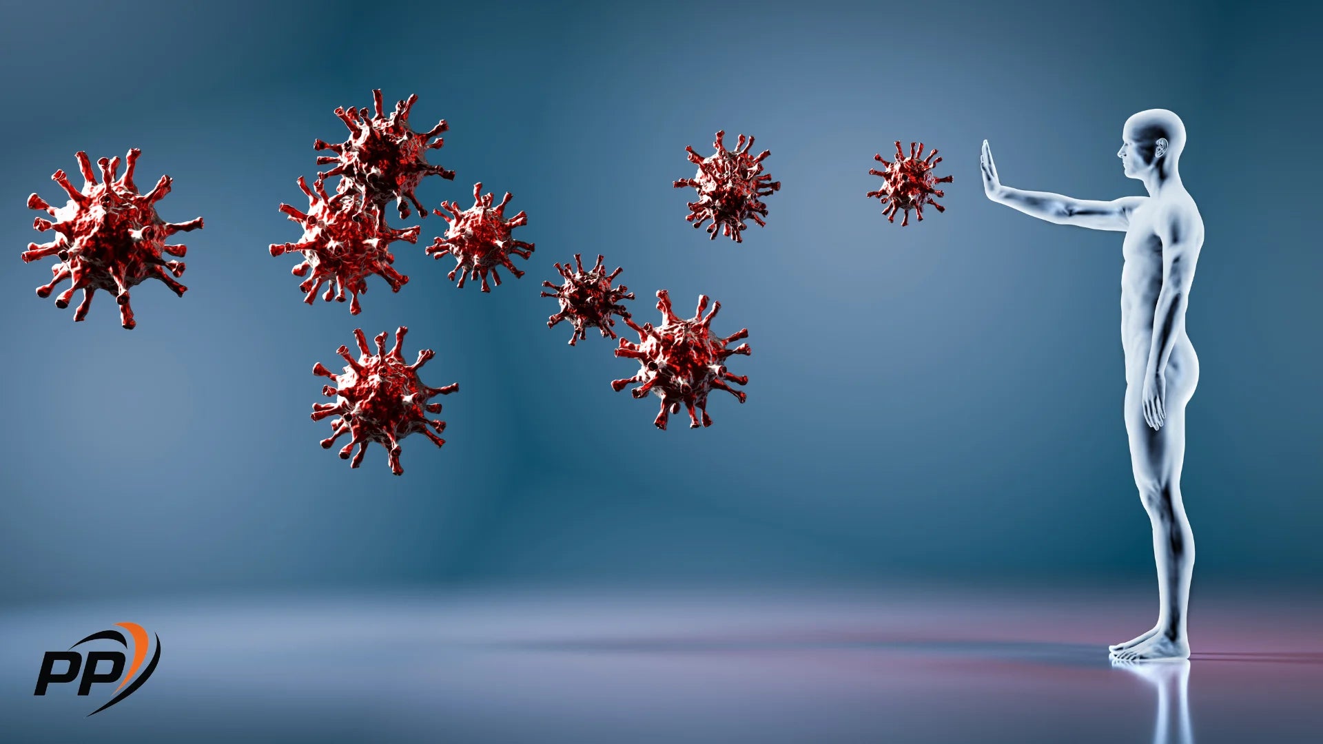 Основы иммунной системы