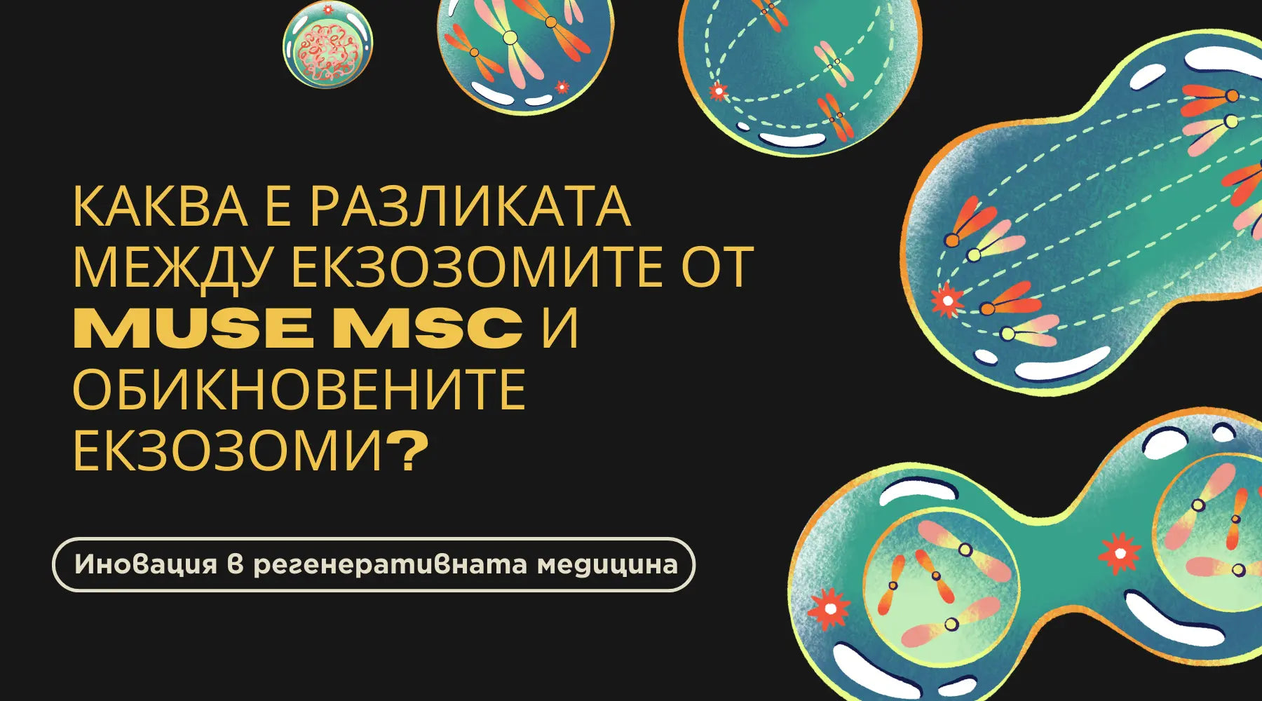 Екзозоми от стволови клетки