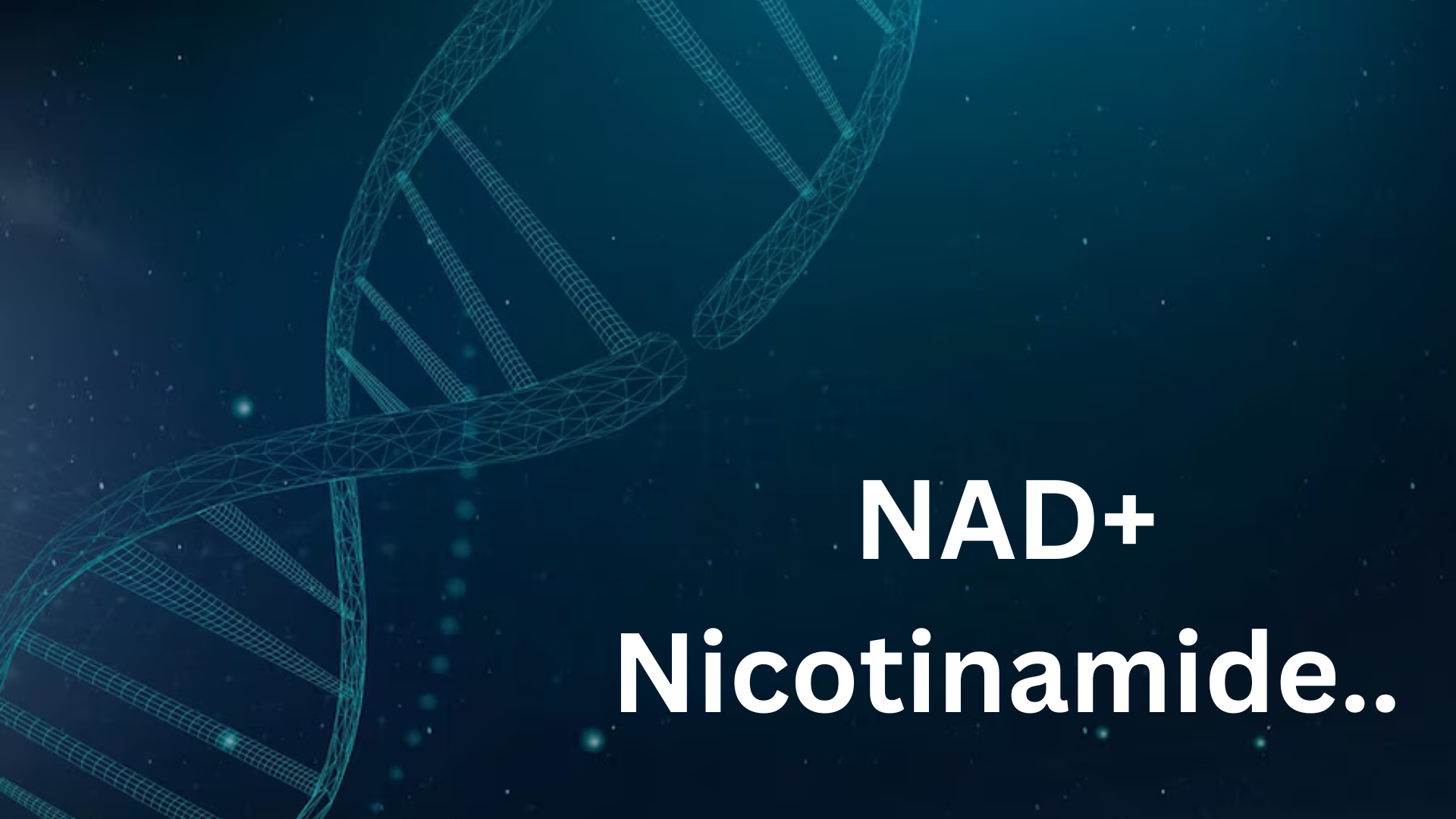 NAD+ Никотинамид